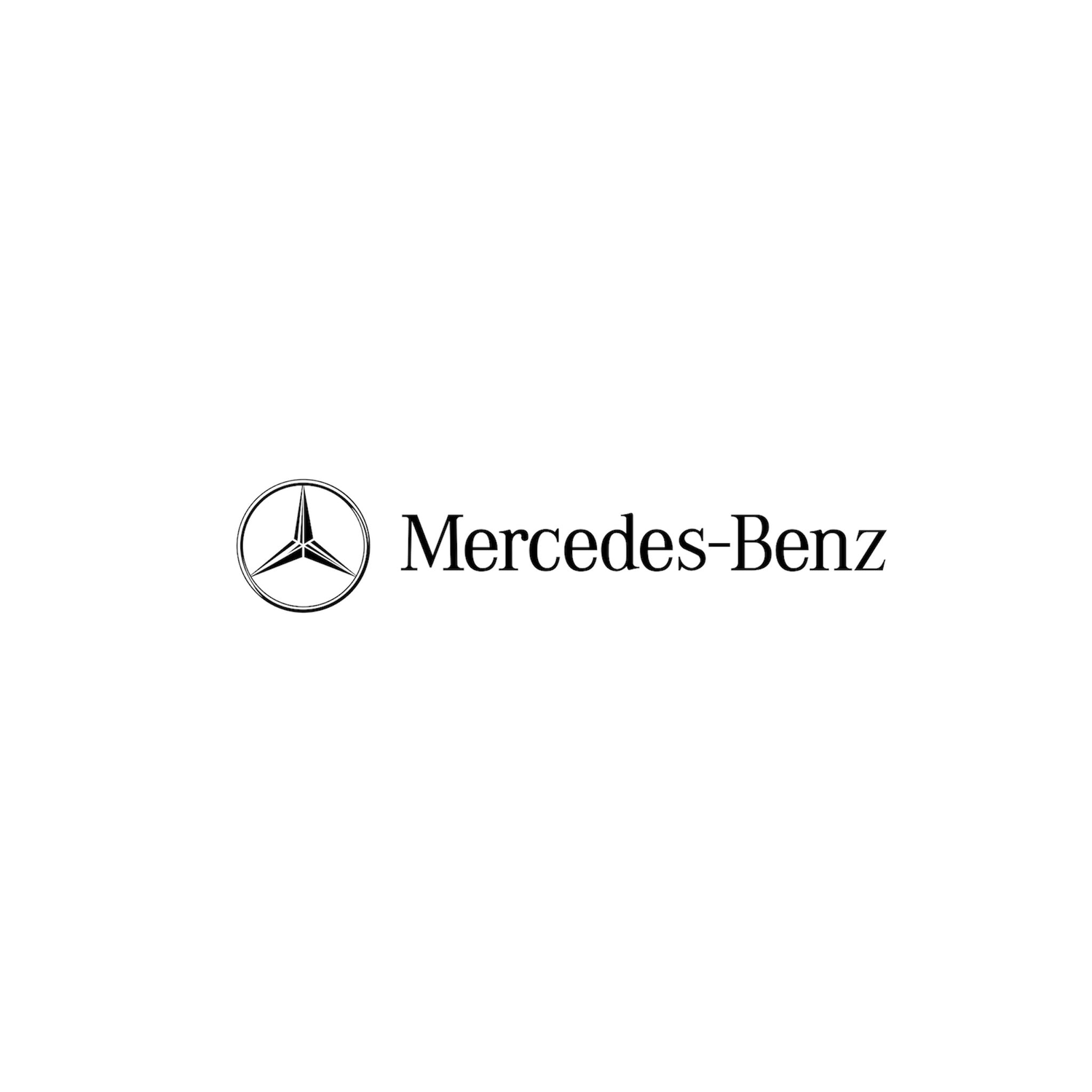 Mercedes - Ex Race Gear