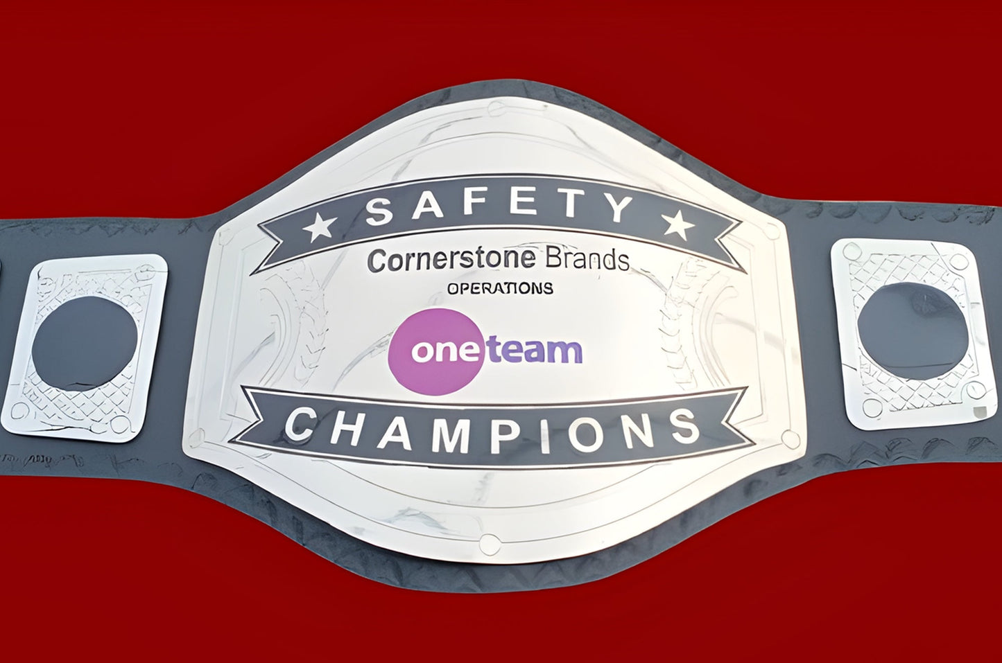 Custom Name and One Team Logo Wrestling Championship Belt poshleathers-14b7