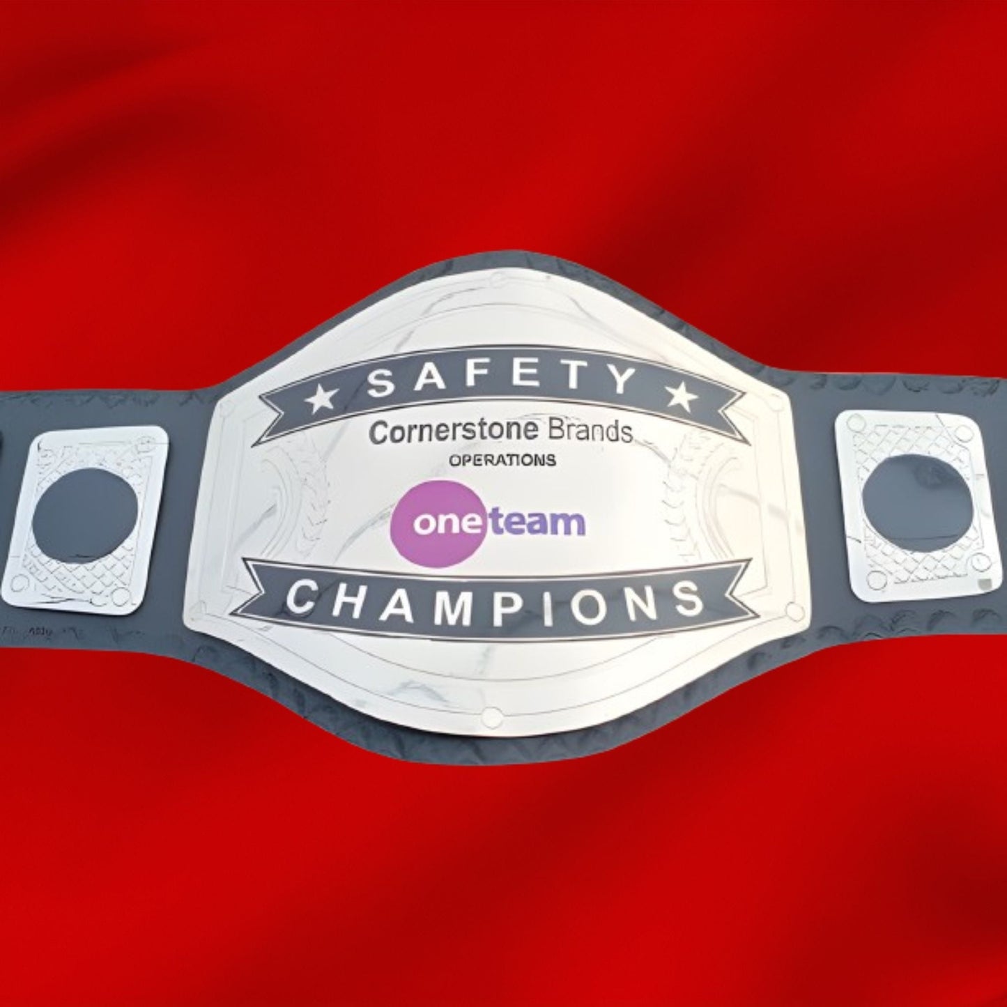 Custom Name and One Team Logo Wrestling Championship Belt poshleathers-14b7