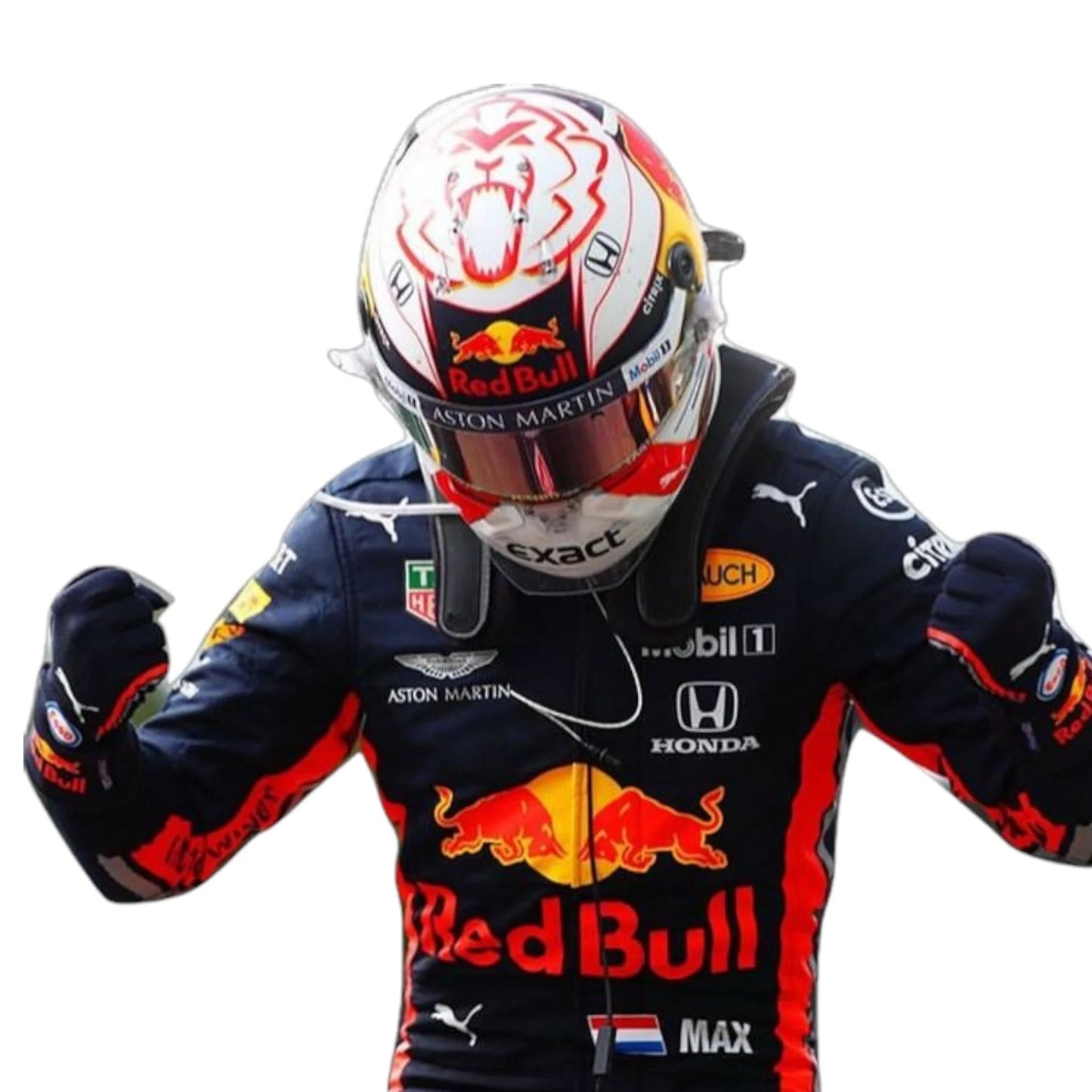 2019 Max Verstappen Replica Red Bull Racing Suit F1 Honda Rustle Racewears
