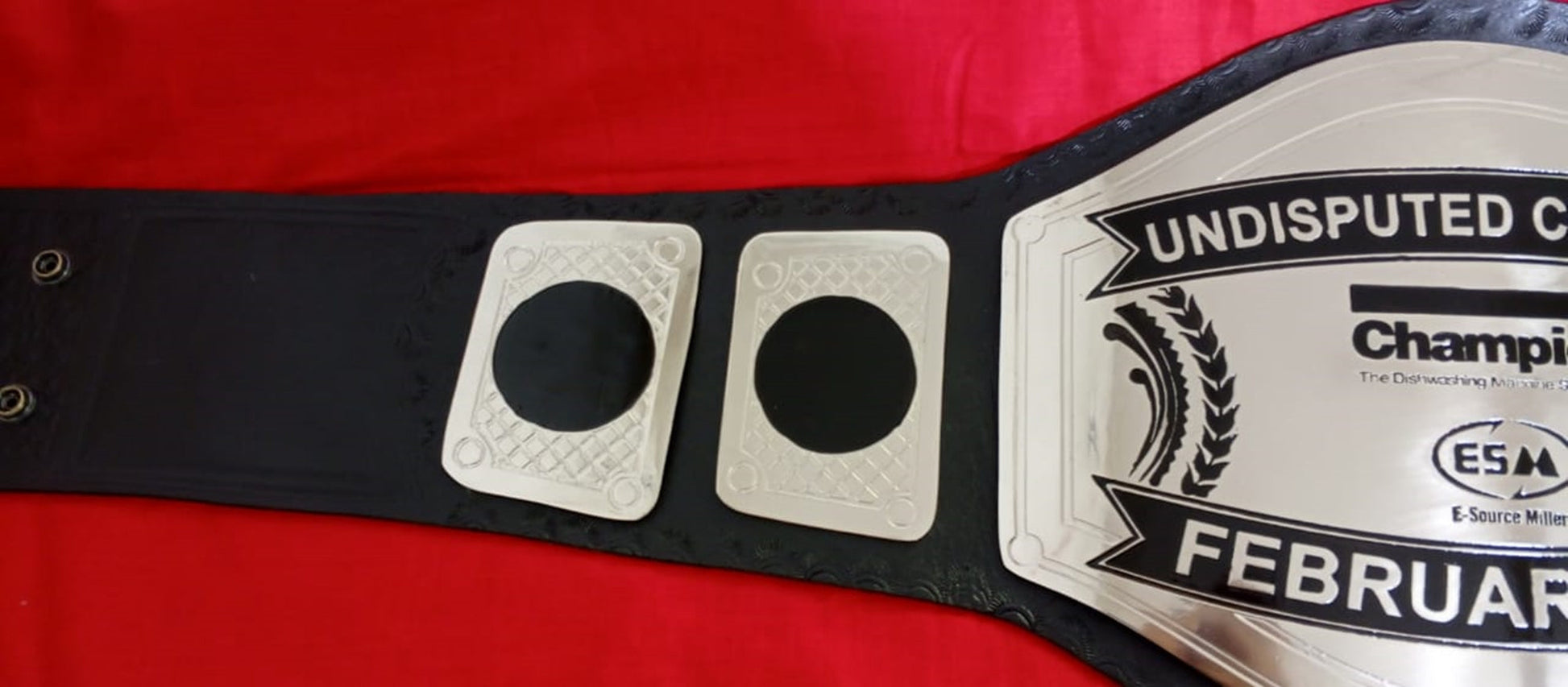 Custom Name and ESM Logo Wrestling Championship Belt poshleathers-14b7