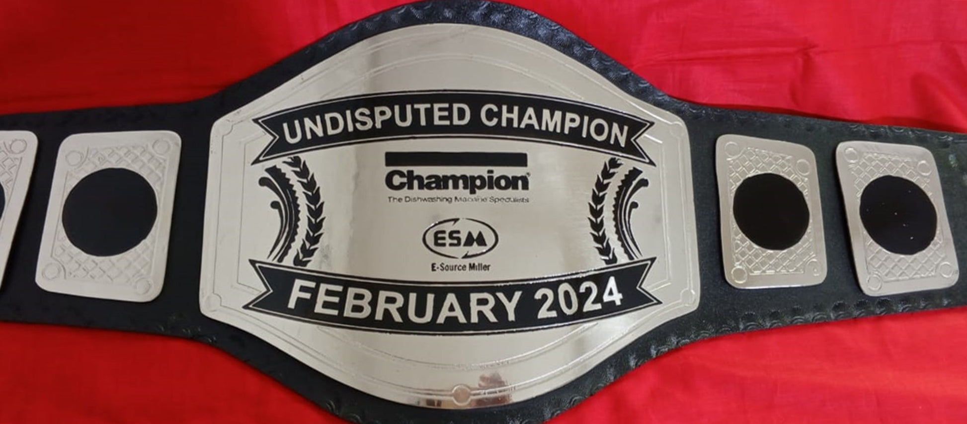 Custom Name and ESM Logo Wrestling Championship Belt poshleathers-14b7