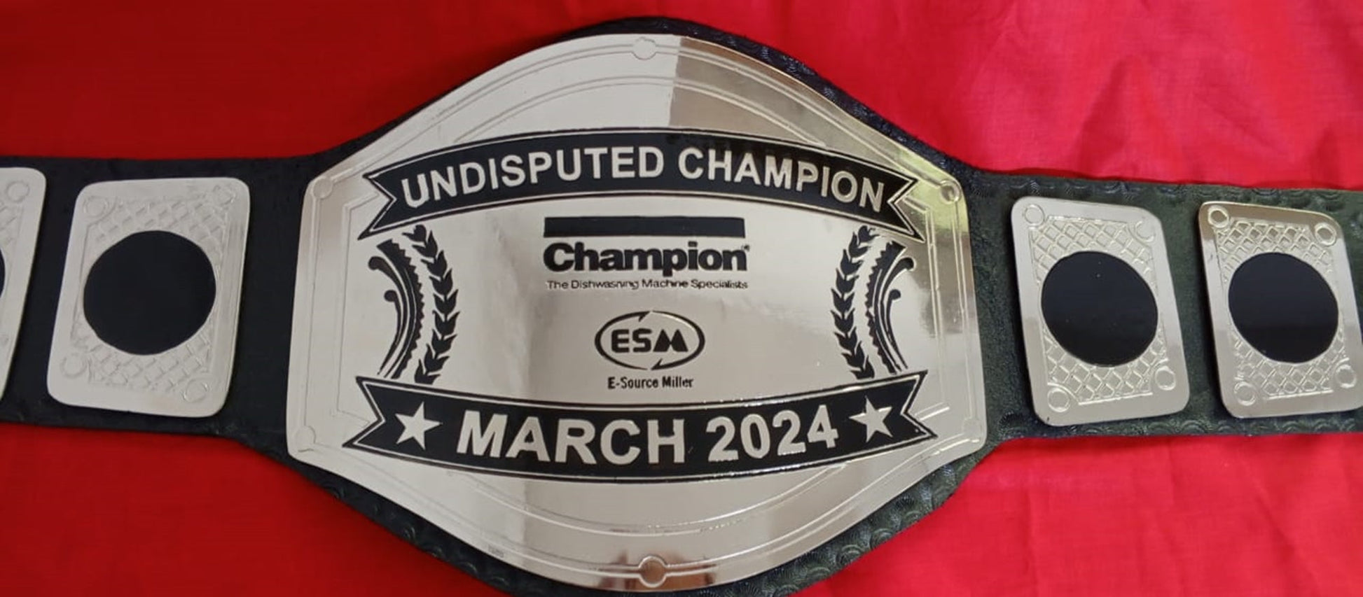 Custom Name and ESM Logo Wrestling Championship Belt poshleathers-14b7