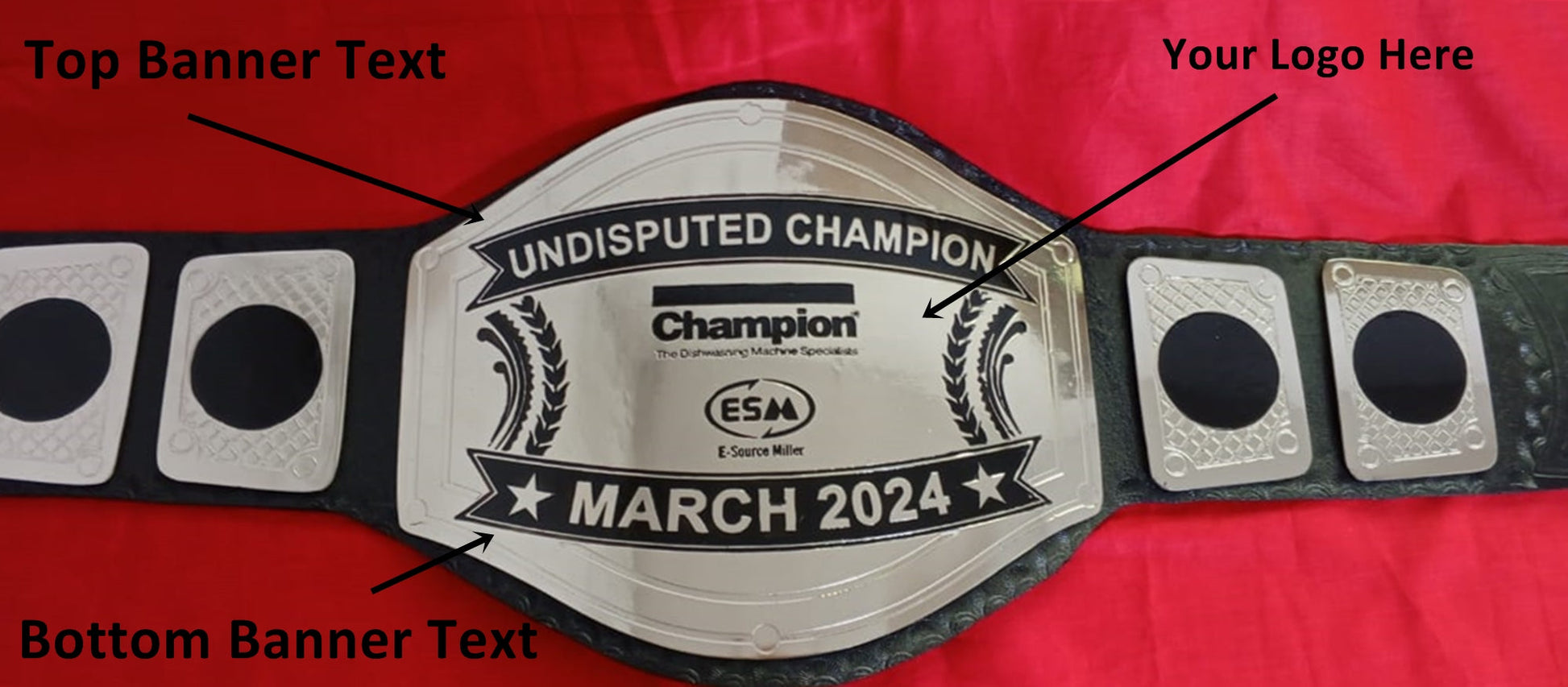 Custom Name and ESM Logo Wrestling Championship Belt - Customize Wrestling Belts