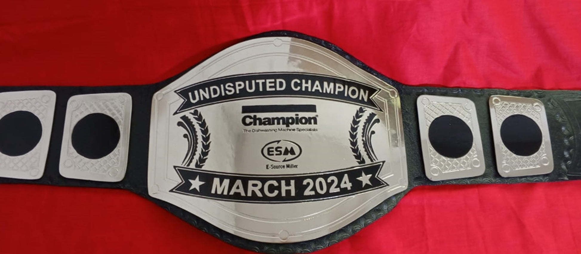 Custom Name and ESM Logo Wrestling Championship Belt poshleathers-14b7