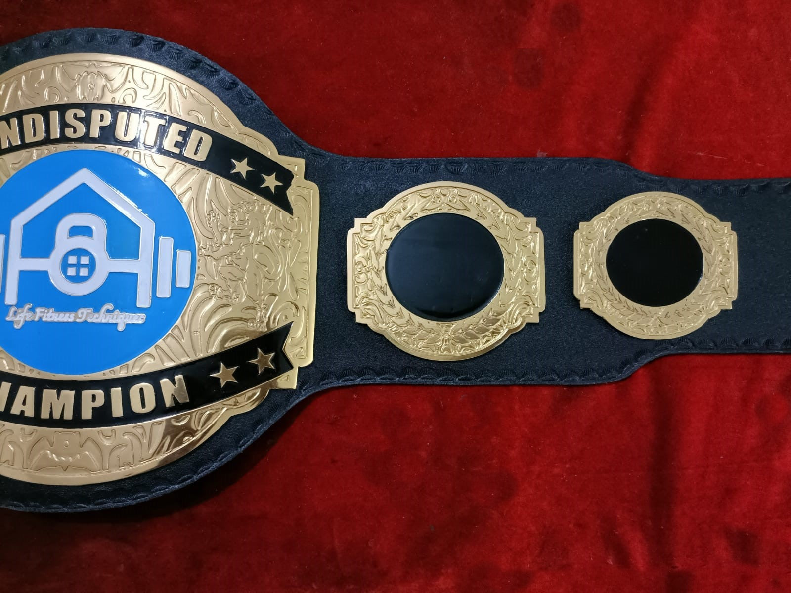 Custom Name and Life Fitness Technique Logo Wrestling Championship Belt poshleathers-14b7