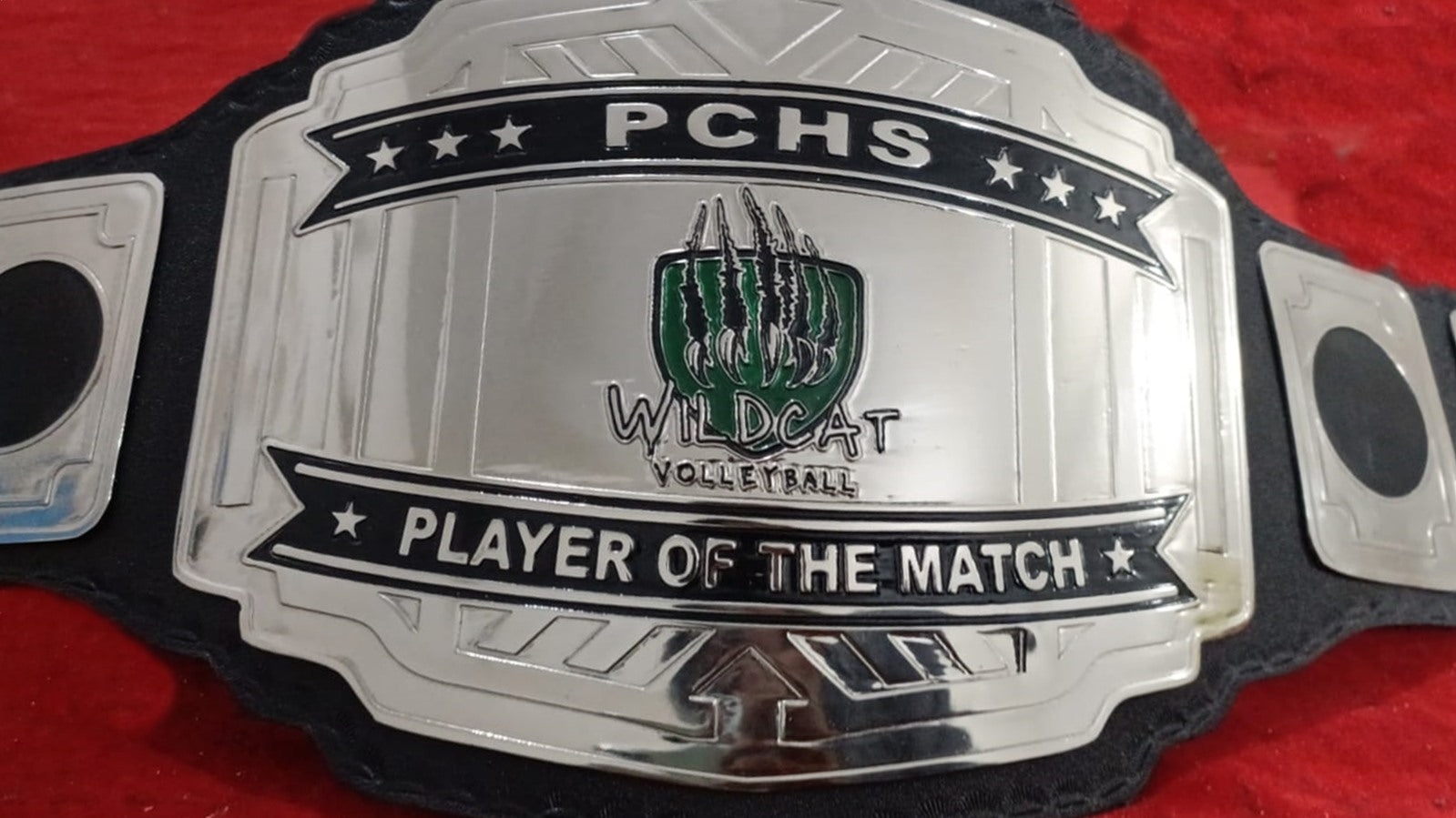 Custom Name and Wild Cat Nails Logo Wrestling Championship Belt poshleathers-14b7