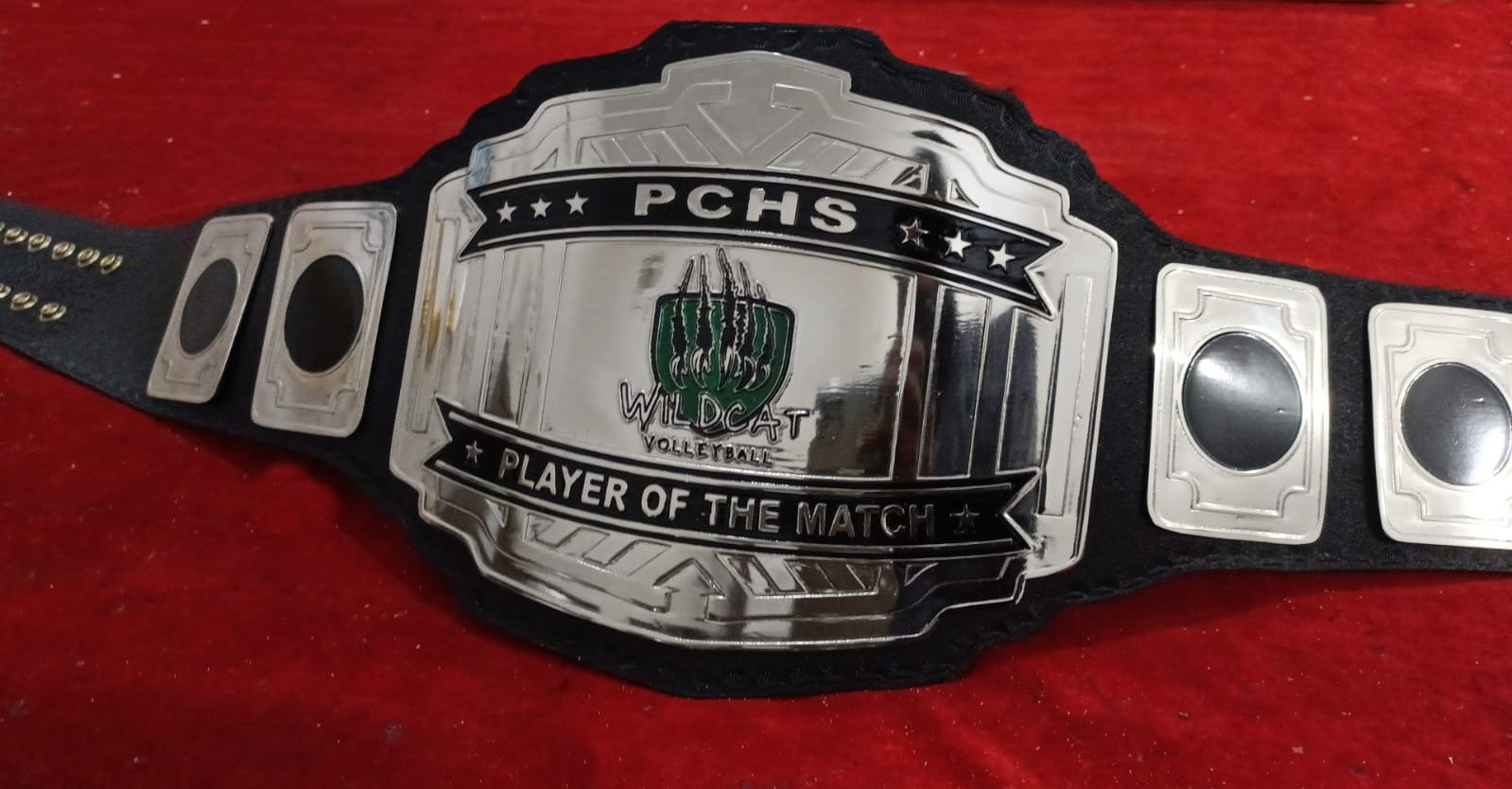Custom Name and Wild Cat Nails Logo Wrestling Championship Belt poshleathers-14b7