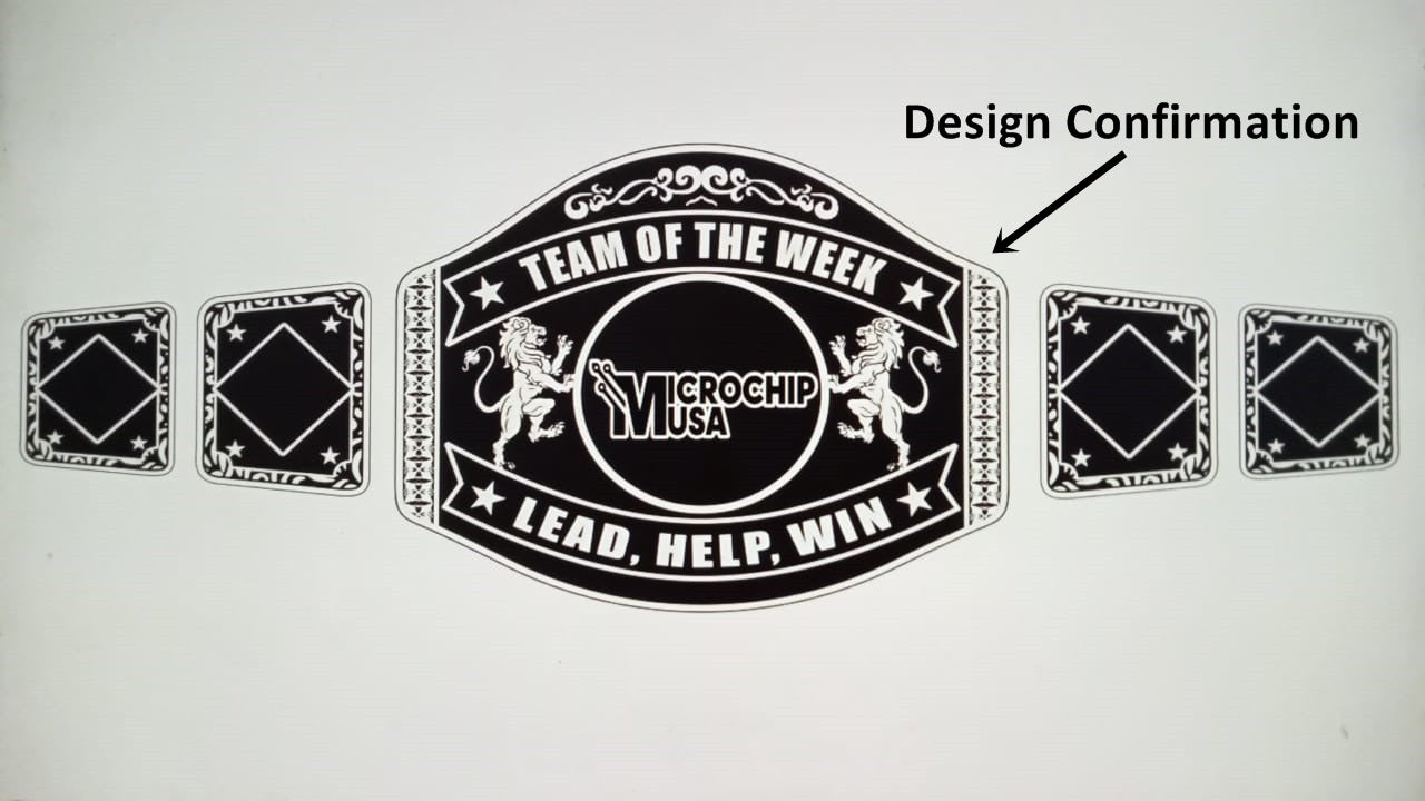 Custom Name and Microchip USA Logo Wrestling Championship Belt poshleathers-14b7