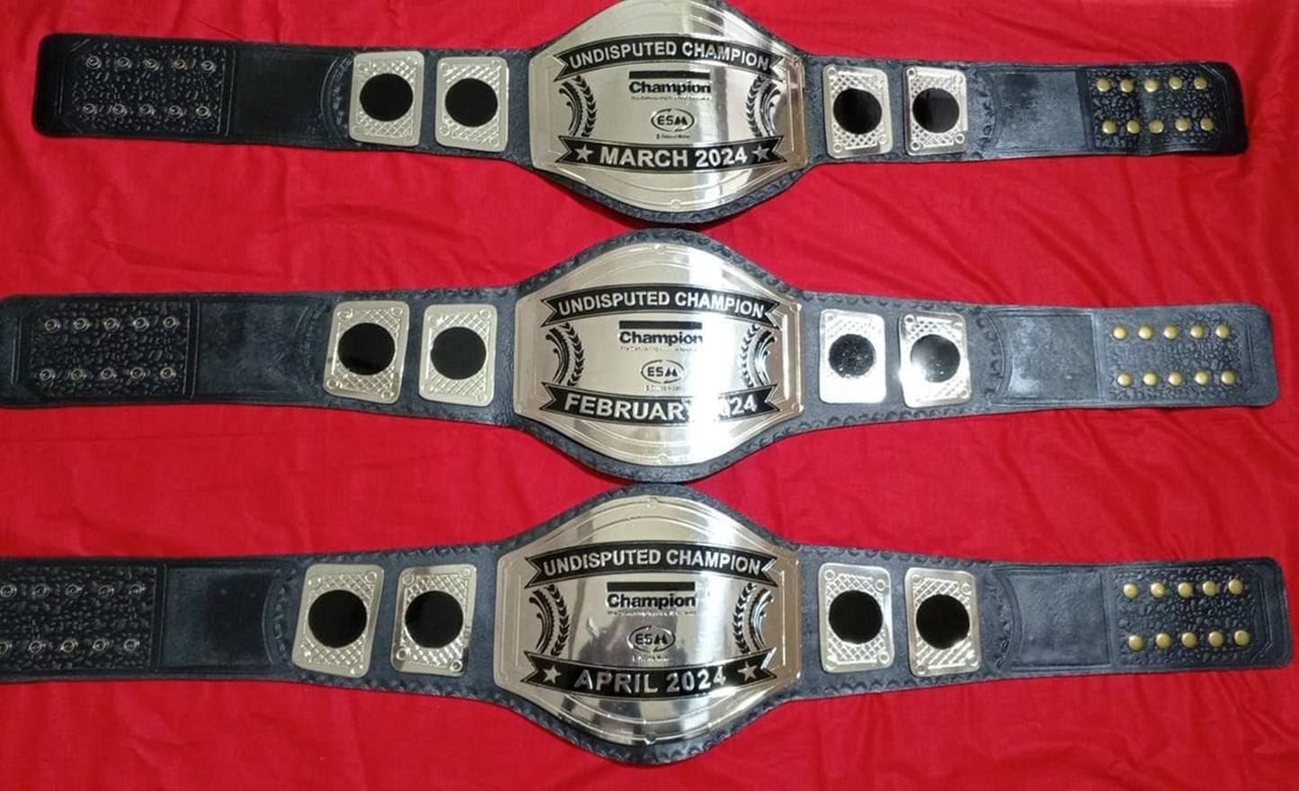 Custom Name and ESM Logo Wrestling Championship Belt poshleathers-14b7