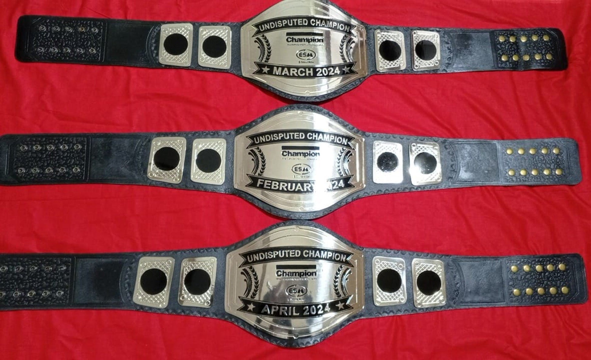 Custom Name and ESM Logo Wrestling Championship Belt poshleathers-14b7