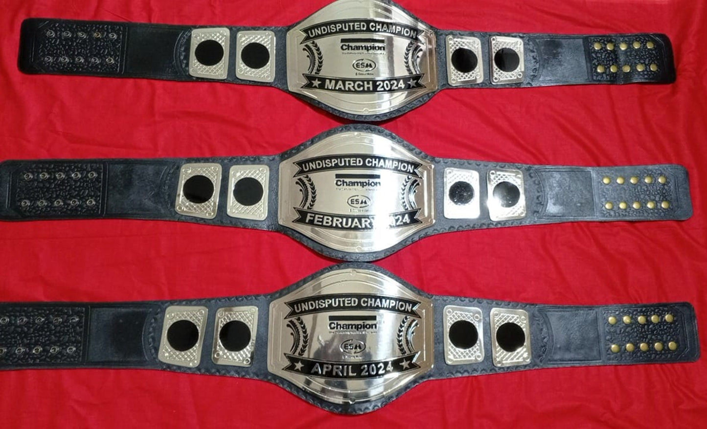 Custom Name and ESM Logo Wrestling Championship Belt poshleathers-14b7