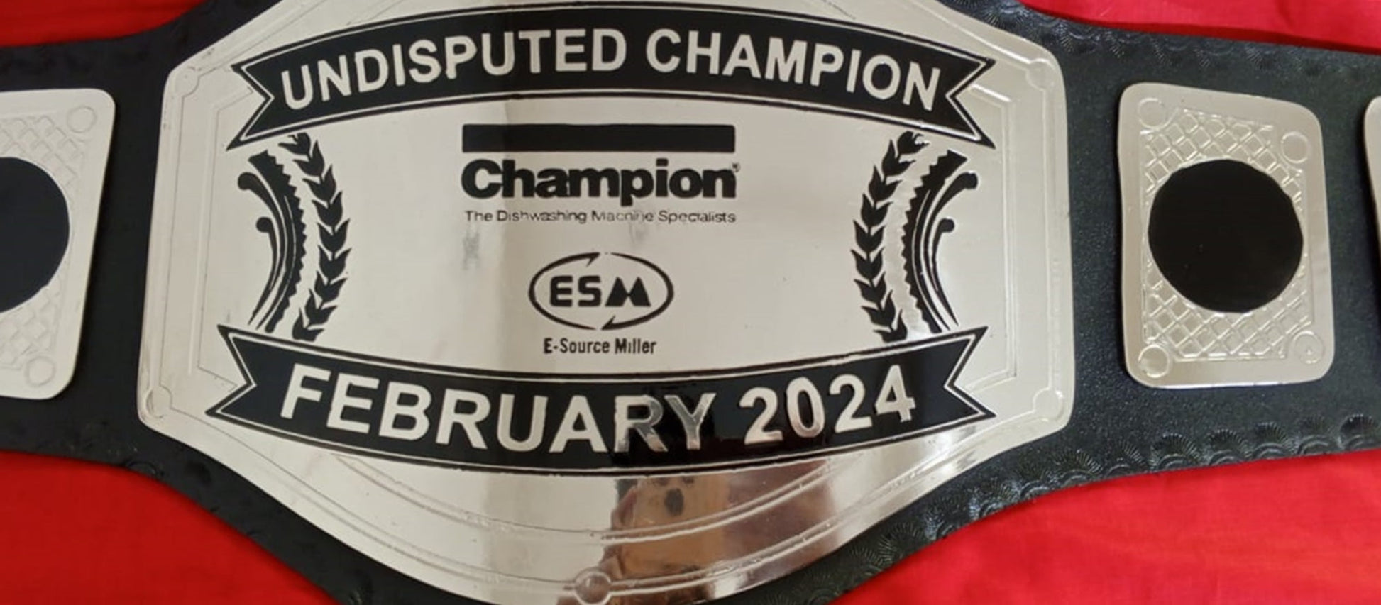 Custom Name and ESM Logo Wrestling Championship Belt poshleathers-14b7