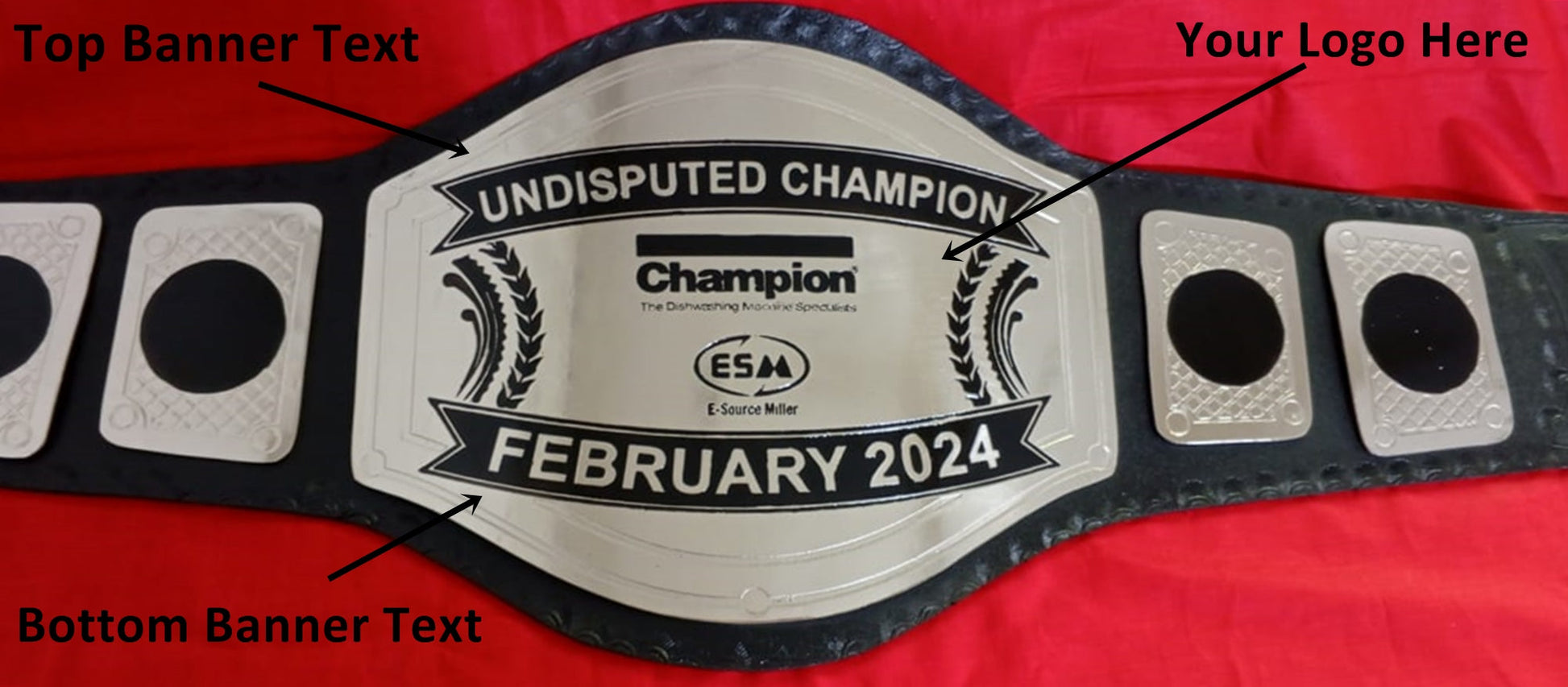 Custom Name and ESM Logo Wrestling Championship Belt poshleathers-14b7