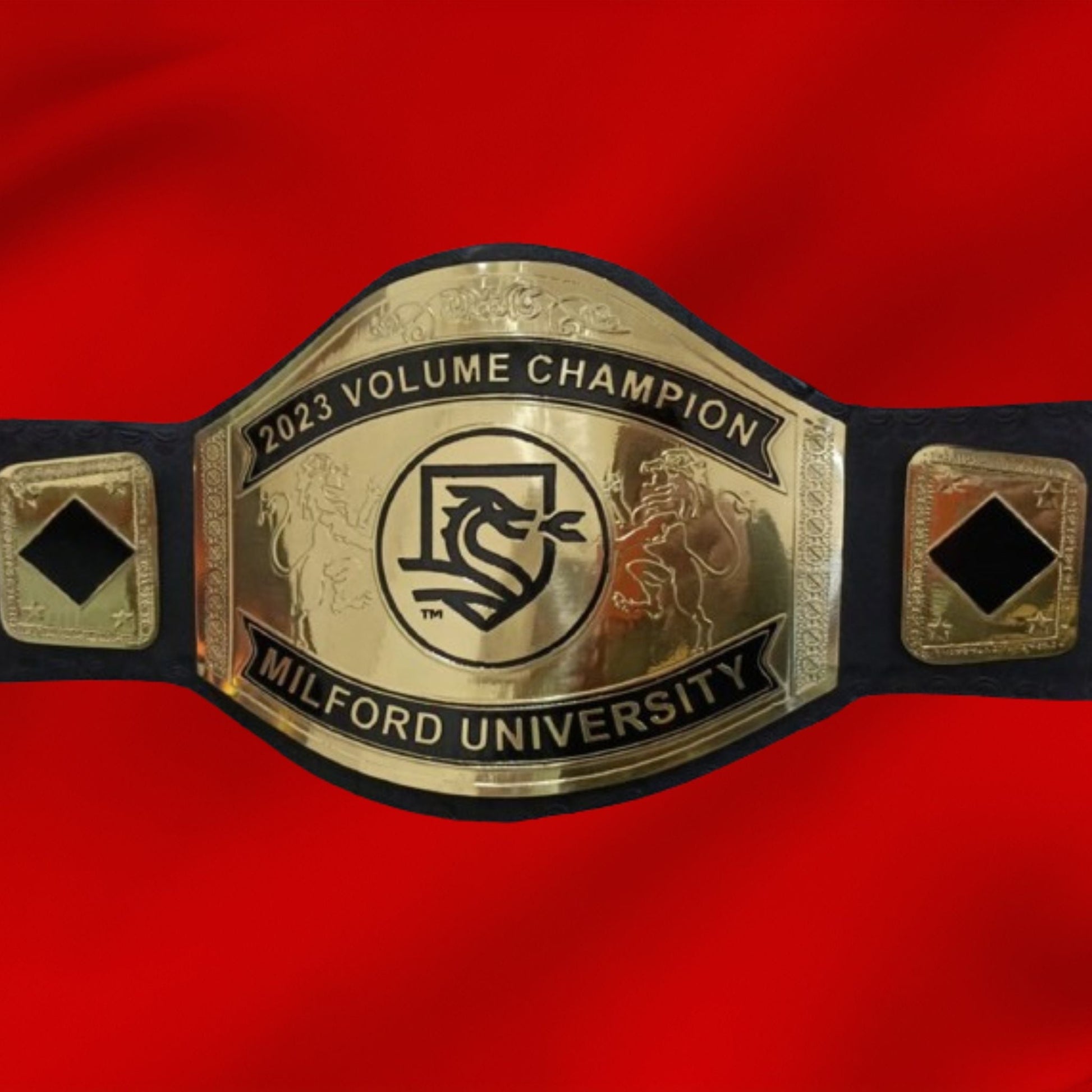 Custom Name and Dragon Logo Wrestling Championship Belt poshleathers-14b7