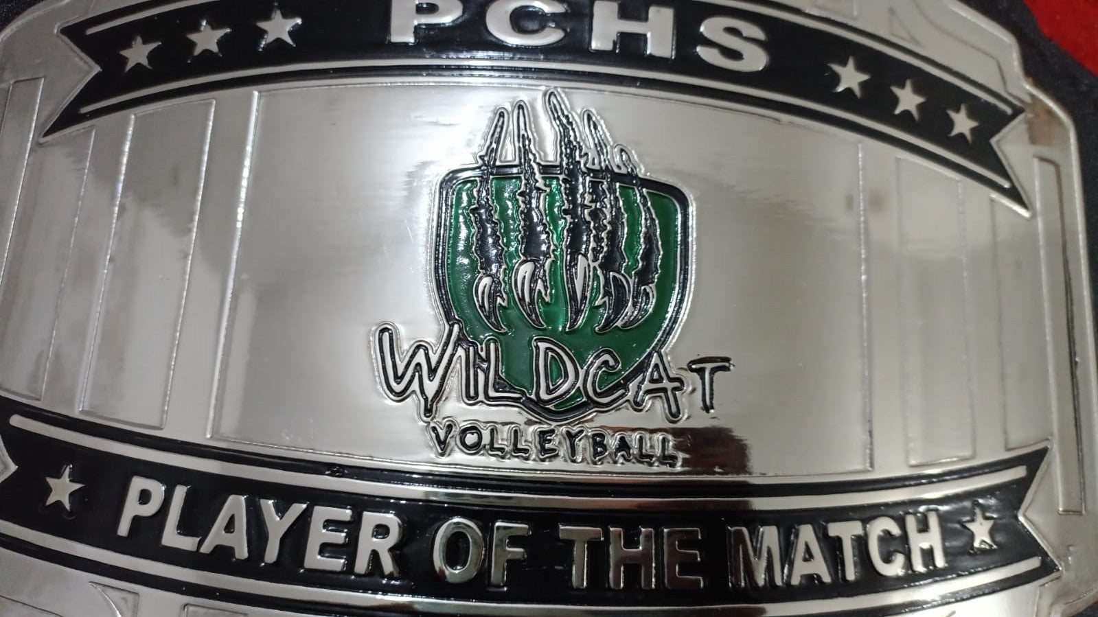 Custom Name and Wild Cat Nails Logo Wrestling Championship Belt poshleathers-14b7
