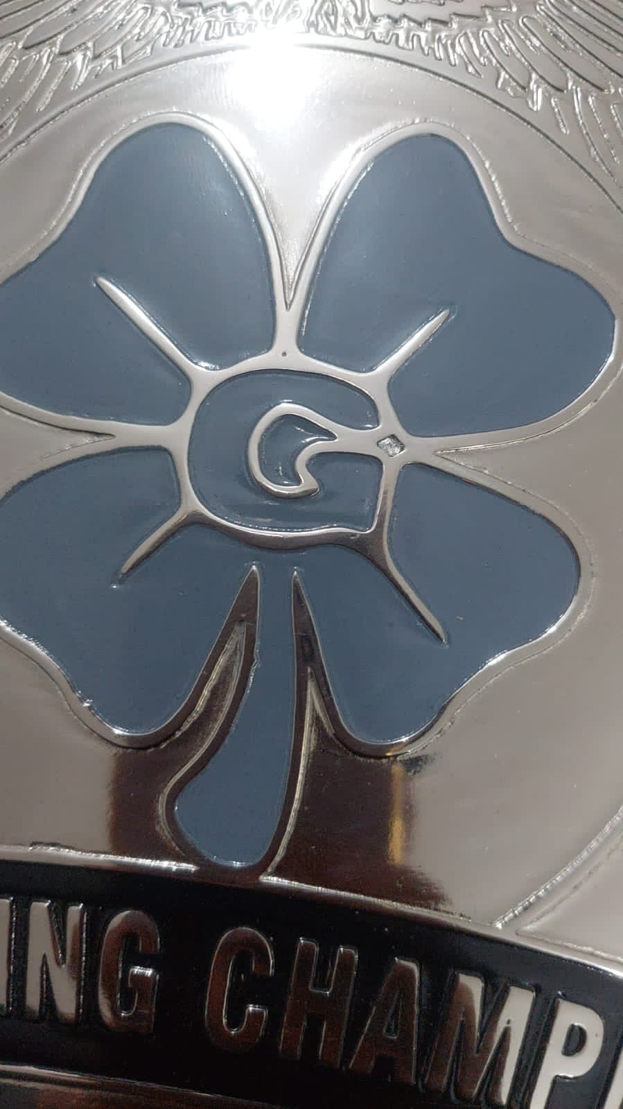 Custom Name and Flower Logo Wrestling Championship Belt poshleathers-14b7